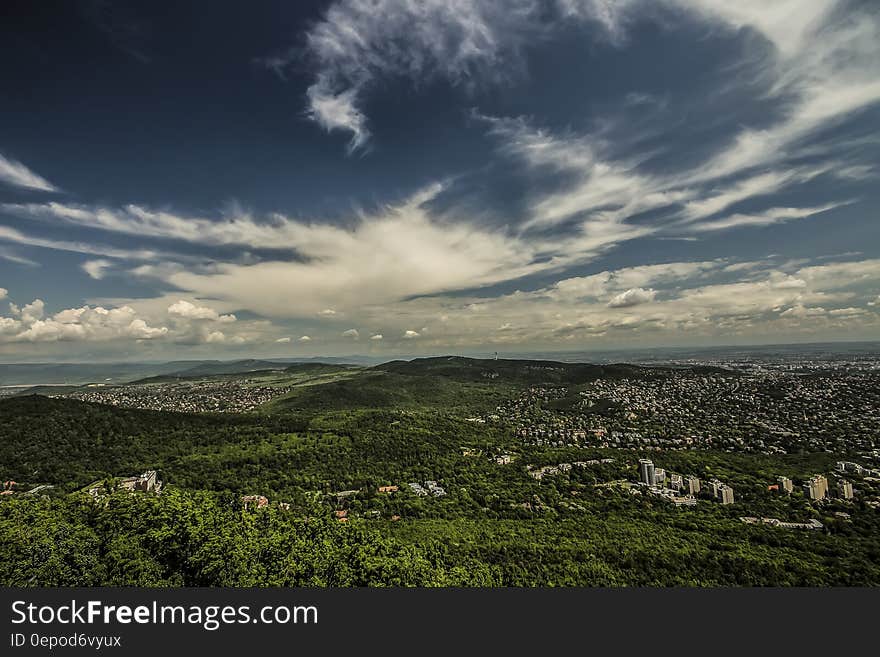 Green Trees over the White Clouds and Blue Sky