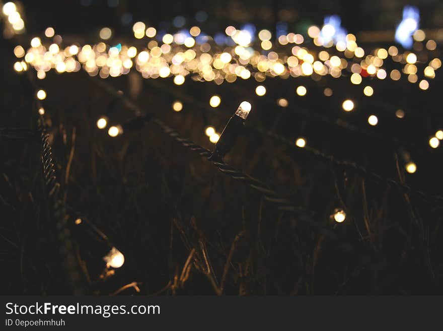 Lighted String Lights