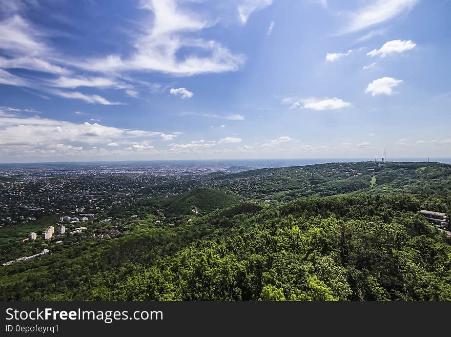 Village Surrounded by Green Trees Under Cloudy Blue Sky