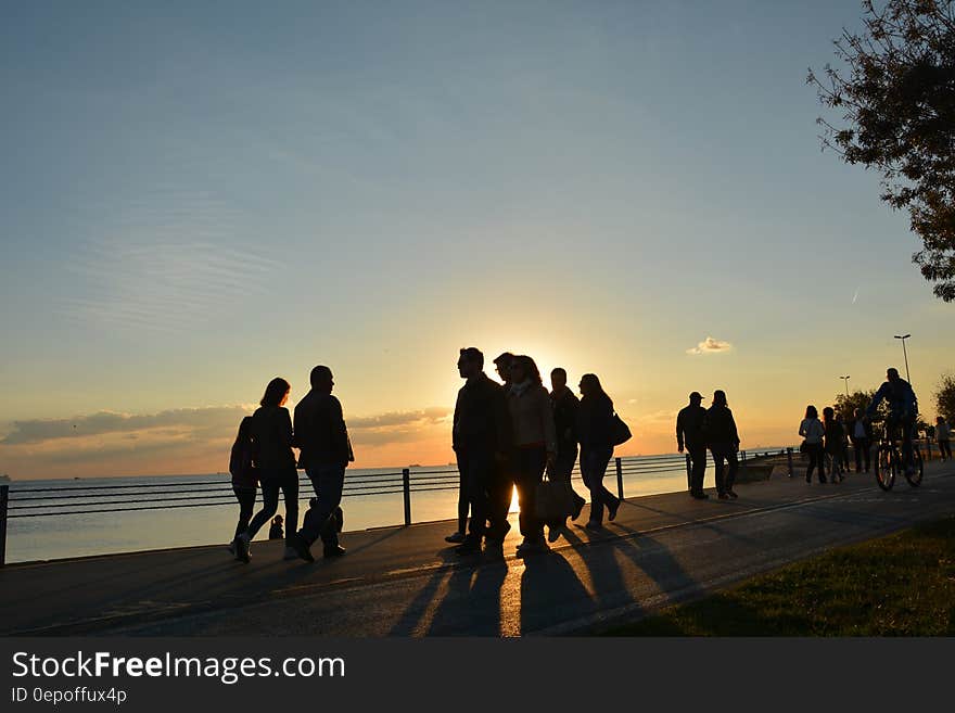 Silhouette of People Near Seashore during Sunset