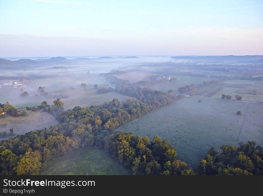 Aerial View of Green Trees during Daytime