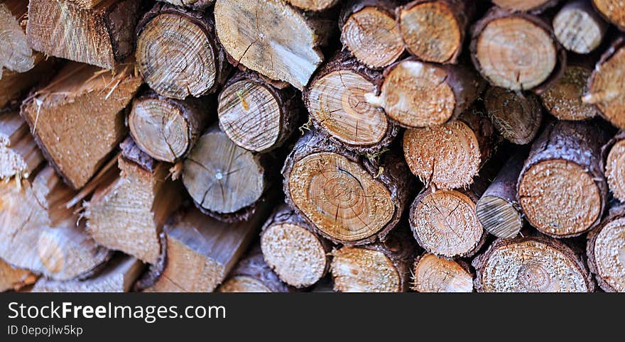 Pile of cut logs on sunny day. Pile of cut logs on sunny day.