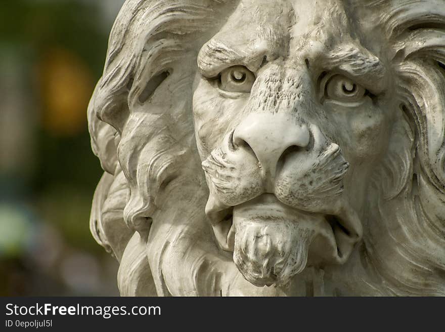 Close up of stone lion face statue on sunny day.