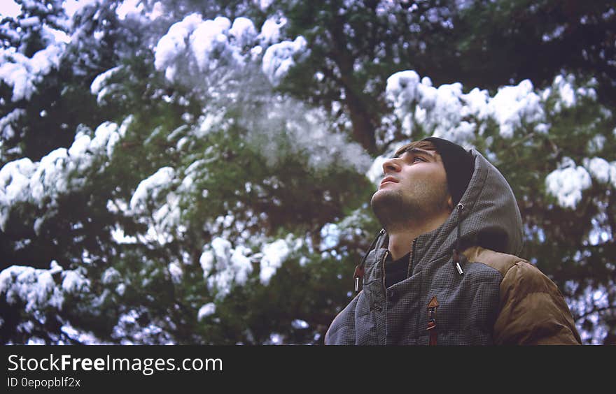 Young Man Looking Up in Forest