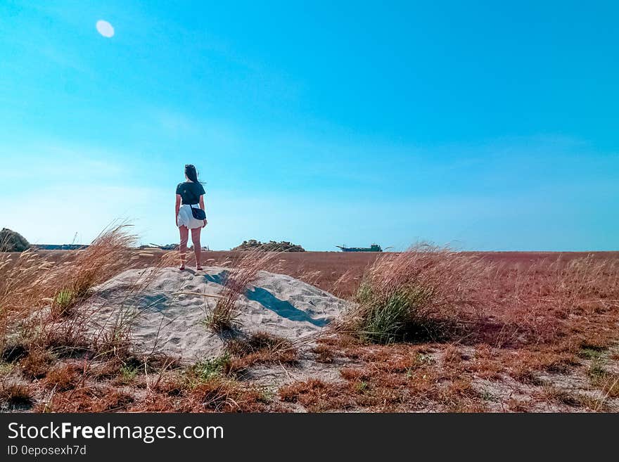 Young woman in white shorts and blue top looking out over open countryside from a pile of gray sand (or rock), blue sky background. Young woman in white shorts and blue top looking out over open countryside from a pile of gray sand (or rock), blue sky background.