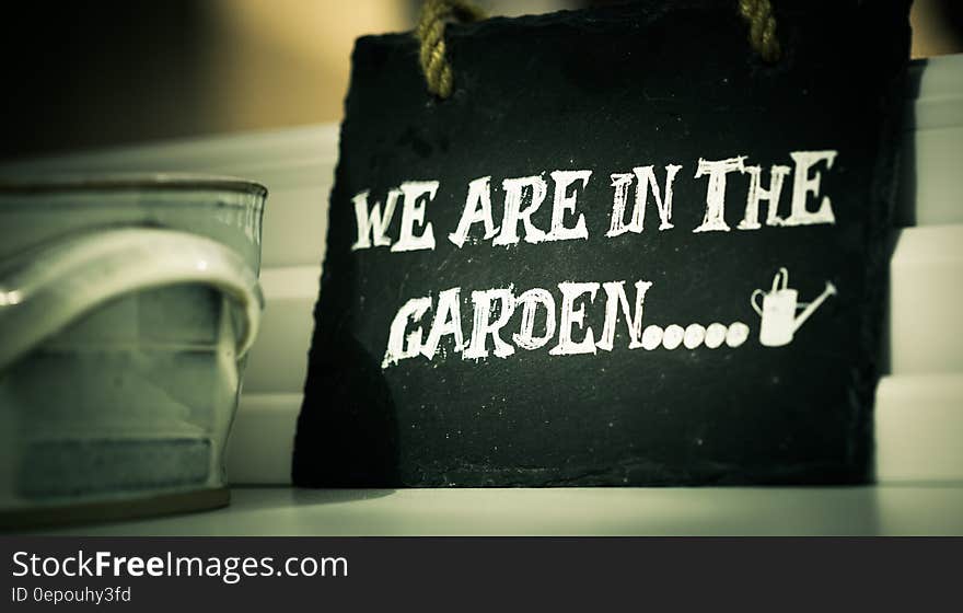 We are in the garden in white chalk on blackboard.