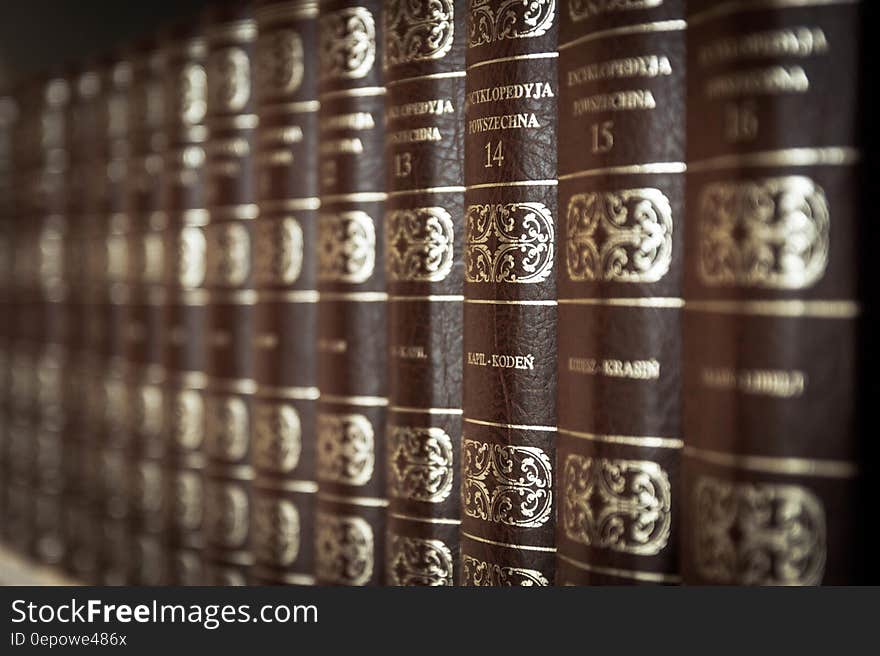 A shelf with many leather bound volumes of Encyclopaedia Britannica with gold lettering and numbering on the spines, selective focus on volume 14.