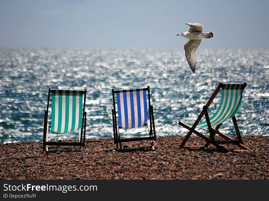 3 Green and Blue Beach Chairs on Brown Sea Shore