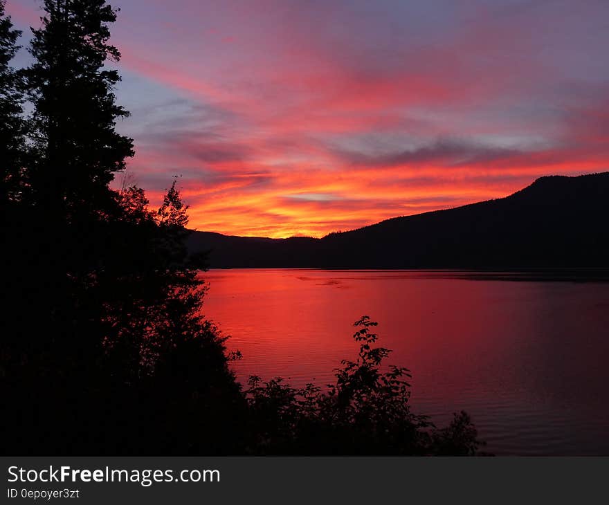 Silhouette of trees along lake shores at sunset. Silhouette of trees along lake shores at sunset.