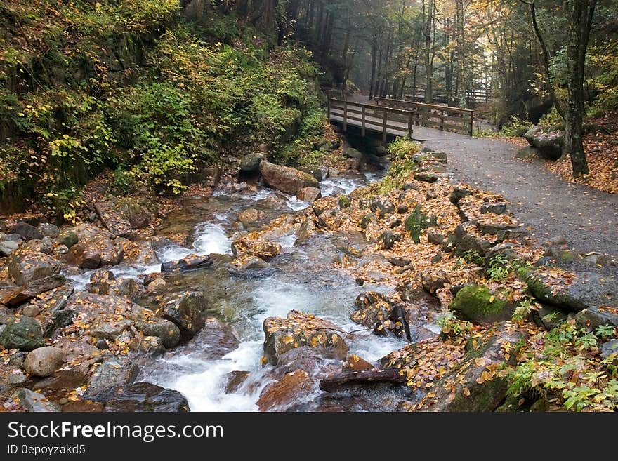 Bridge and walkway over rocky stream in autumn forest. Bridge and walkway over rocky stream in autumn forest.