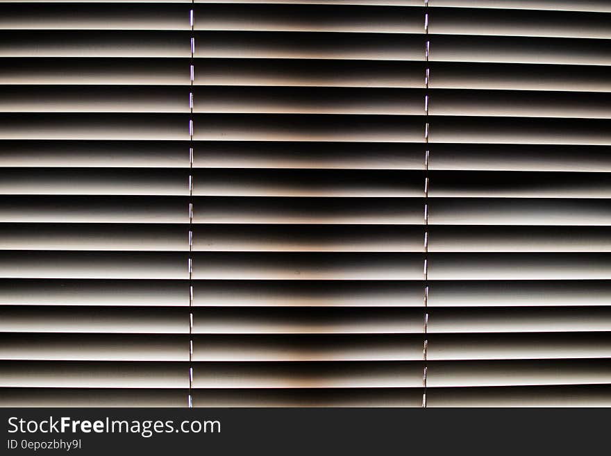 White Window Blinds