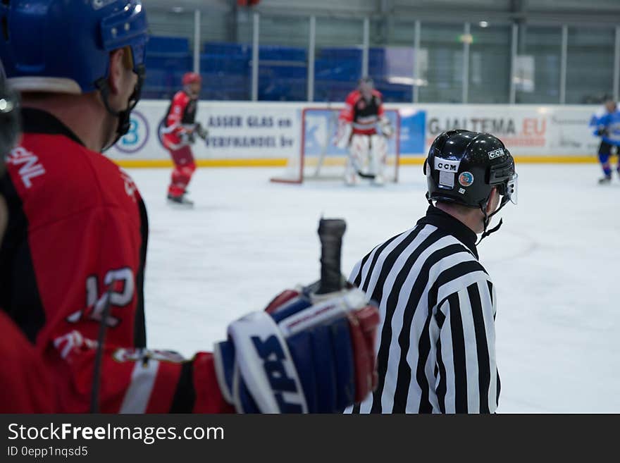 Hockey Players on Rink