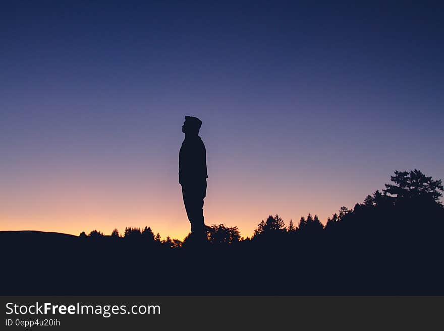 Silhouette of man standing in field at sunset. Silhouette of man standing in field at sunset.