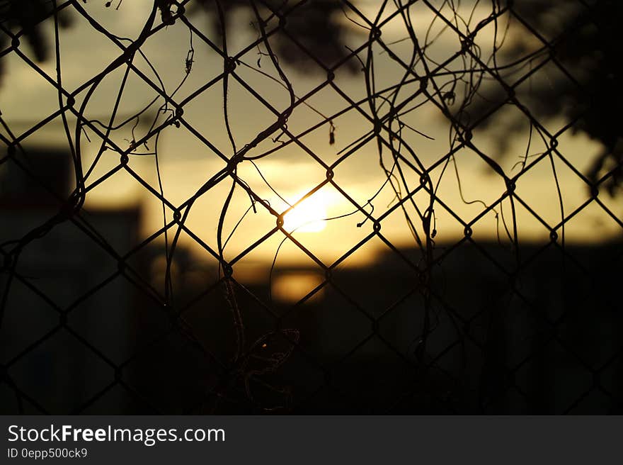 Silhouette Fence during Sunset