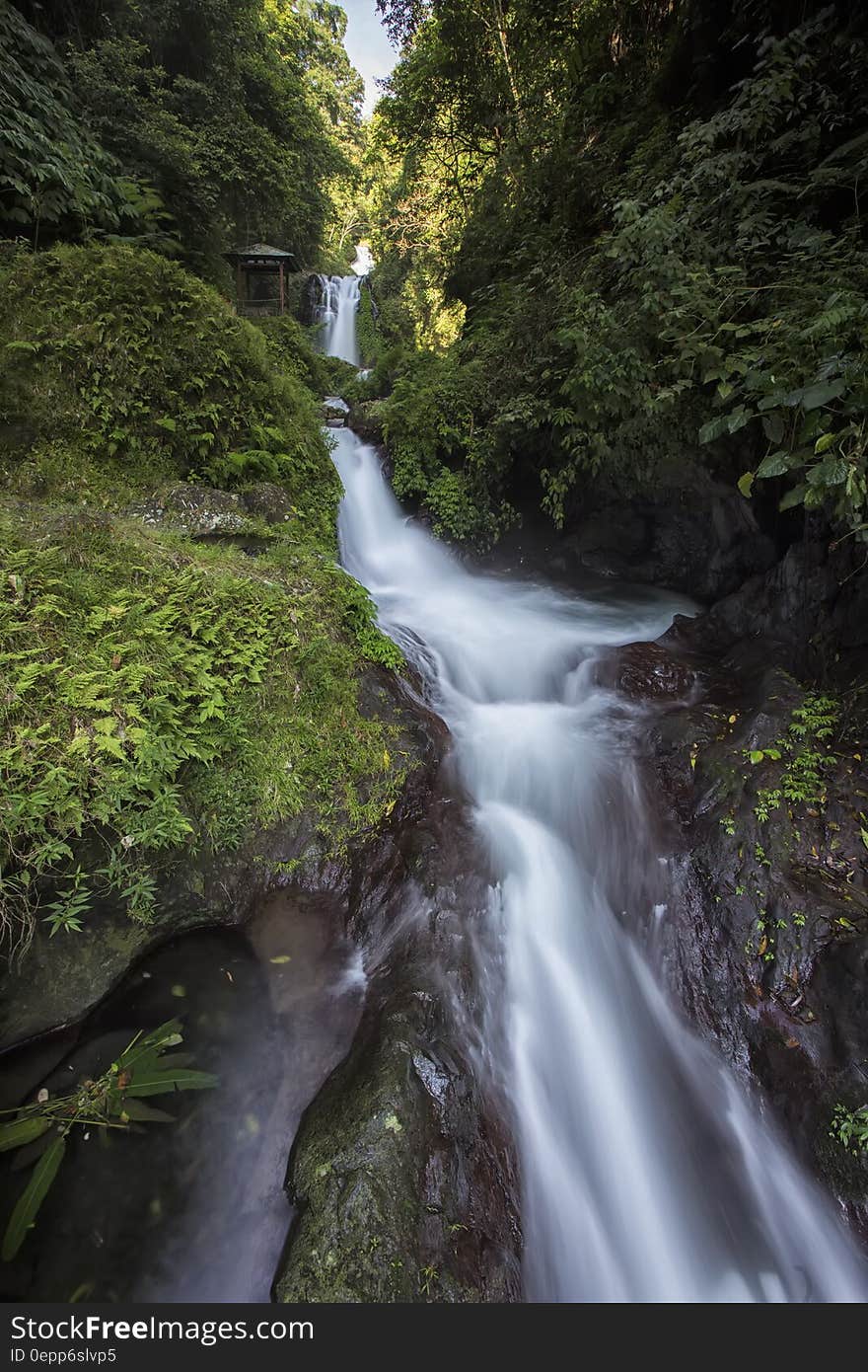 Water Falls Between Plant and Tree during Daytime in Time Lapse Photo