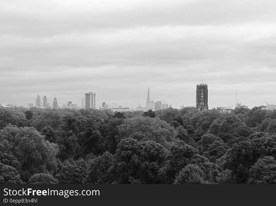 Pine Tress and High Building in Grayscale Photo