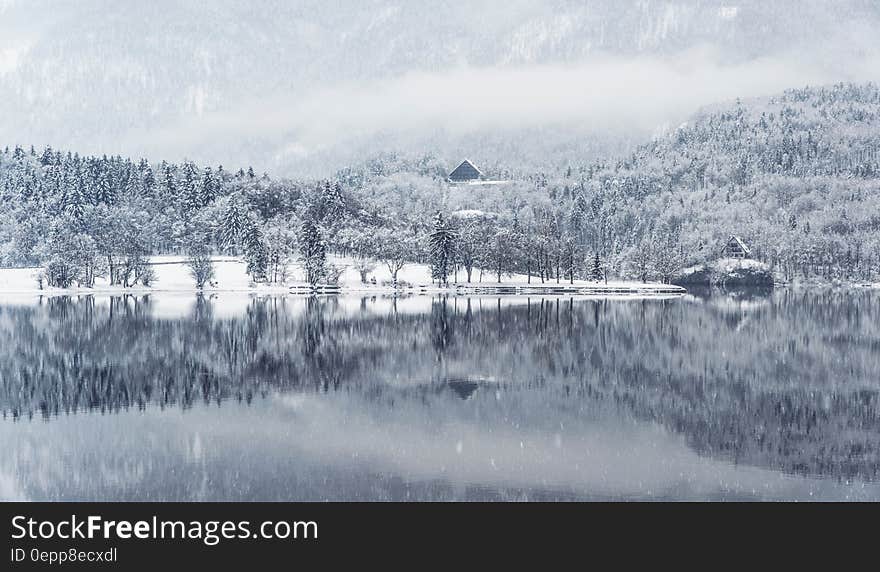 Snow covered trees in countryside landscape reflecting in waterfront. Snow covered trees in countryside landscape reflecting in waterfront.