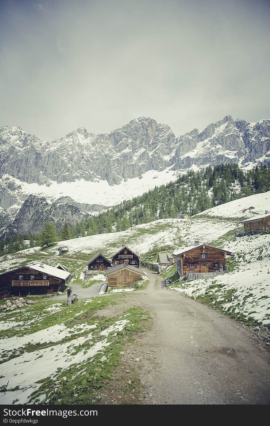 Brown Concrete House Near Green and White Snow