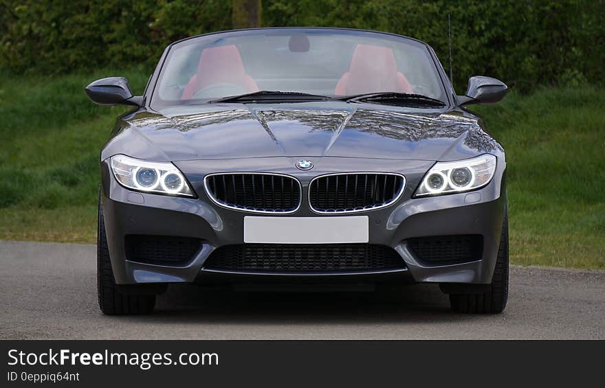 Black Bmw Convertible in Front of Green Bushes