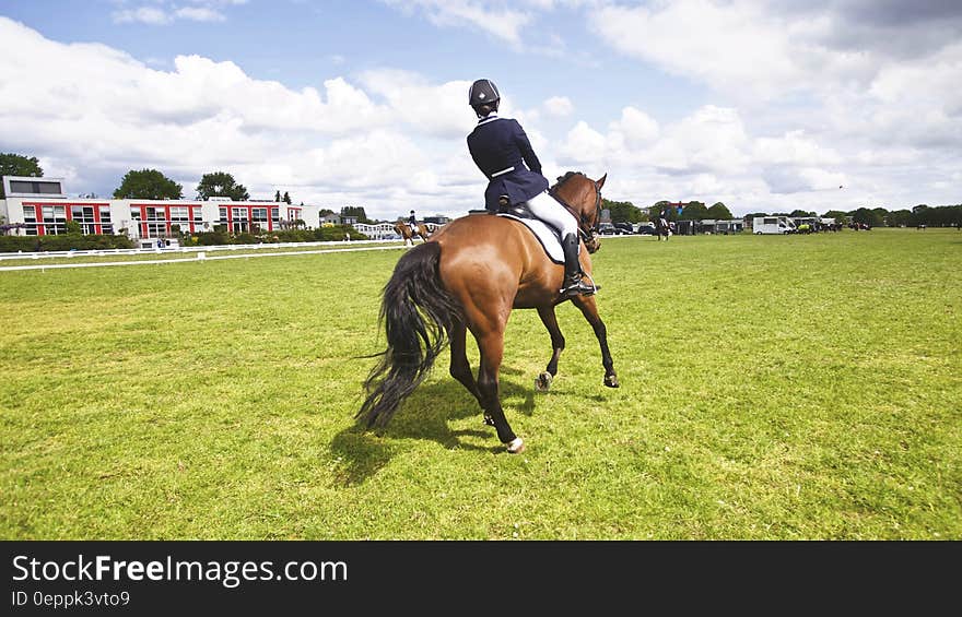 A girl riding a horse on green field. A girl riding a horse on green field.