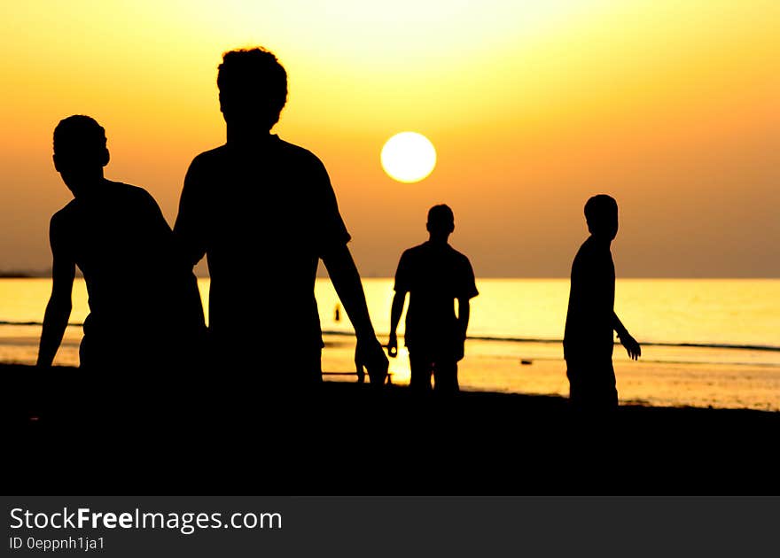 Silhouette of 4 People Near Ocean during Sunset