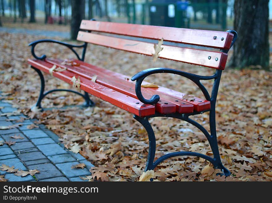 Black and Red Park Bench Near Grey Concrete Pathway