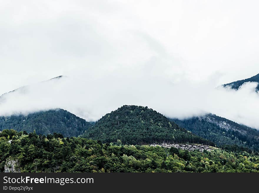 Fog enveloping wooden hills in Andorra. Fog enveloping wooden hills in Andorra.