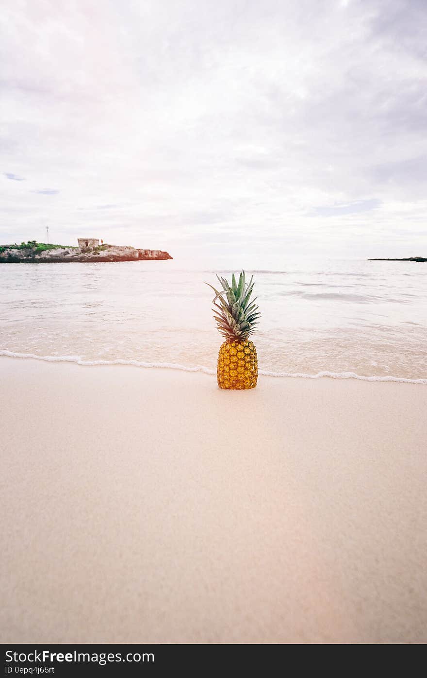 Pineapple Fruit on Seashore during Daytime