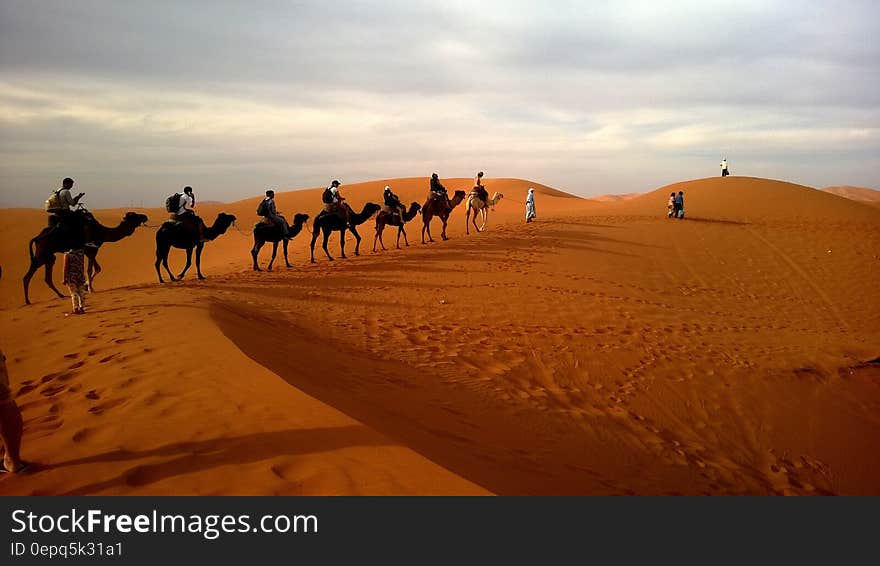 Human Riding Camel on Dessert Under White Sky during Daytime