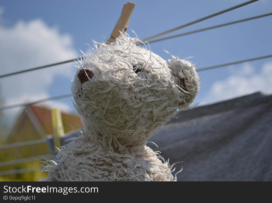 Close up of white teddy bear on clothesline with clothespin outdoors against blue skies.