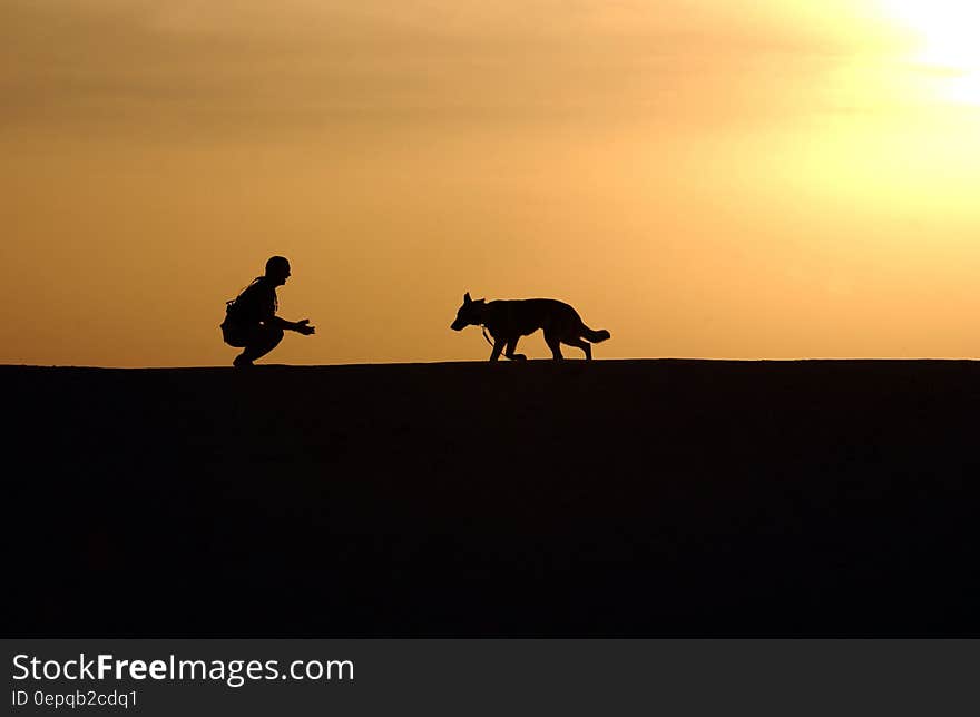 Silhouette Photo of Man an Dog During Sunset