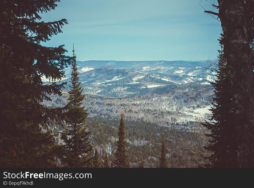 Mountains With Green Trees Under Blue Sky