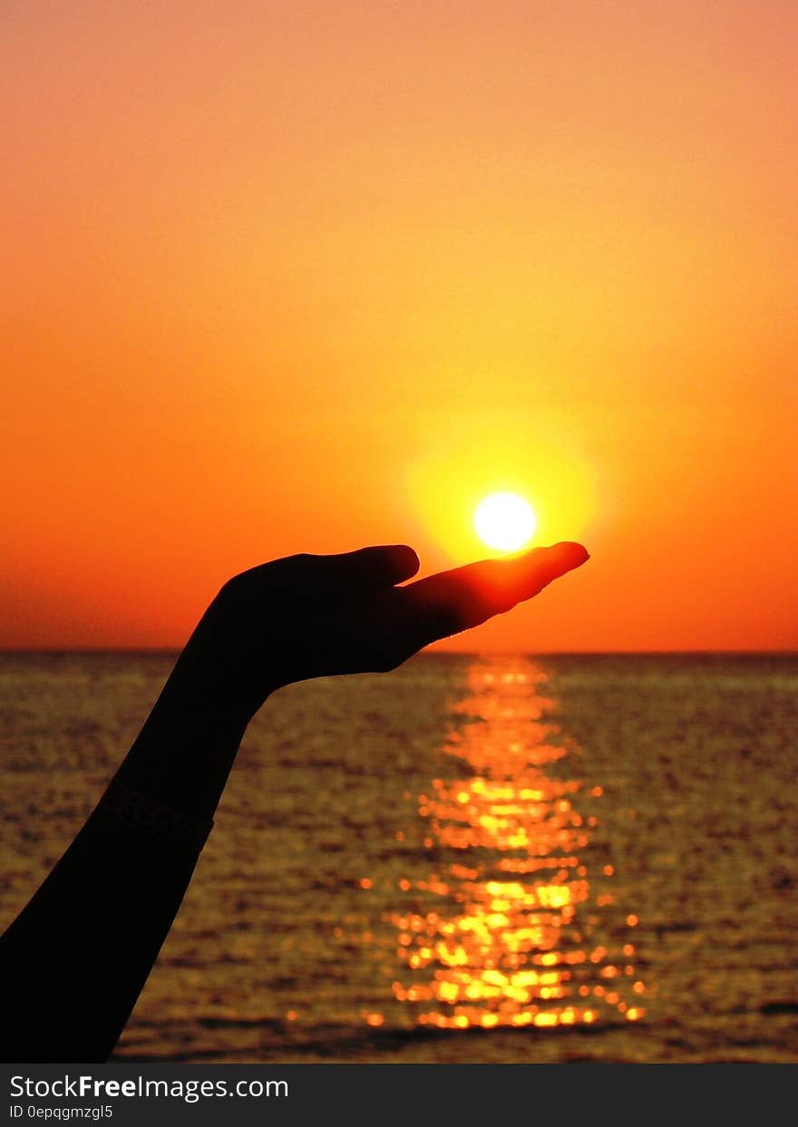 Silhouette of Human Hand Holding the Sun Set Near Ocean Photography