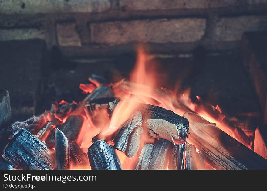 A close up of logs burning in a fireplace.