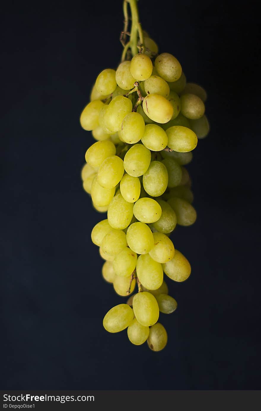 Cluster of green grapes on black background. Cluster of green grapes on black background.