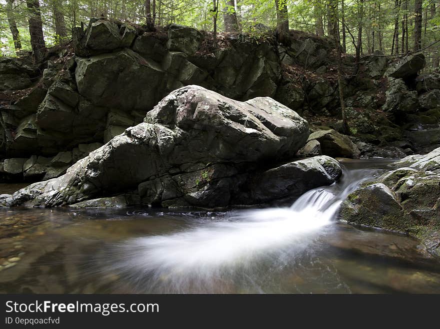 Water Running Through Rocky Terrain in the Woods