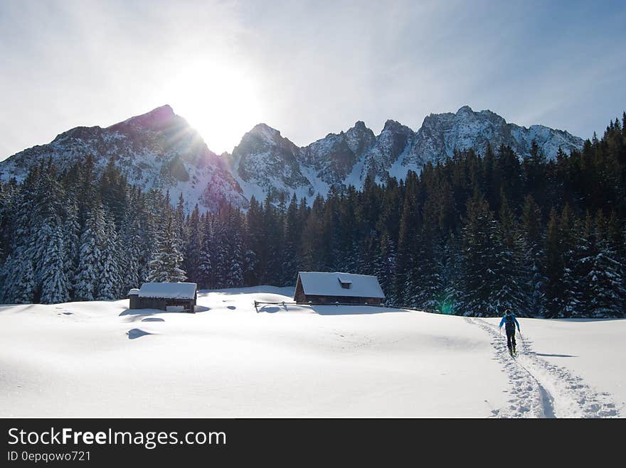 Man Walking Towards Brown Housen in a Snow Place