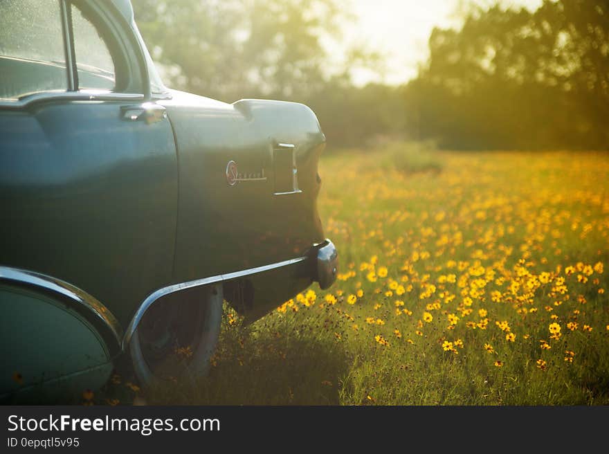 Vintage car parked in sunny meadow with wildflowers. Vintage car parked in sunny meadow with wildflowers.