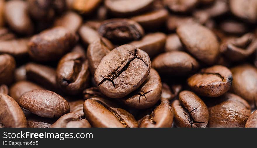 Close up of roasted whole coffee beans. Close up of roasted whole coffee beans.