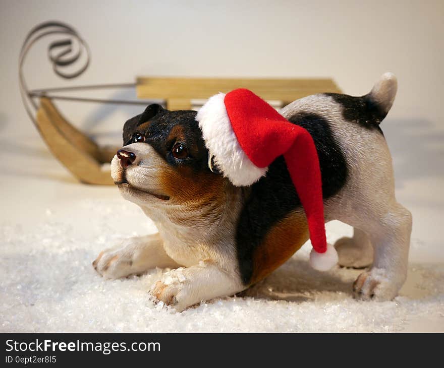 Close up of ceramic statue of puppy dog wearing red stocking cap on white with sled. Close up of ceramic statue of puppy dog wearing red stocking cap on white with sled.