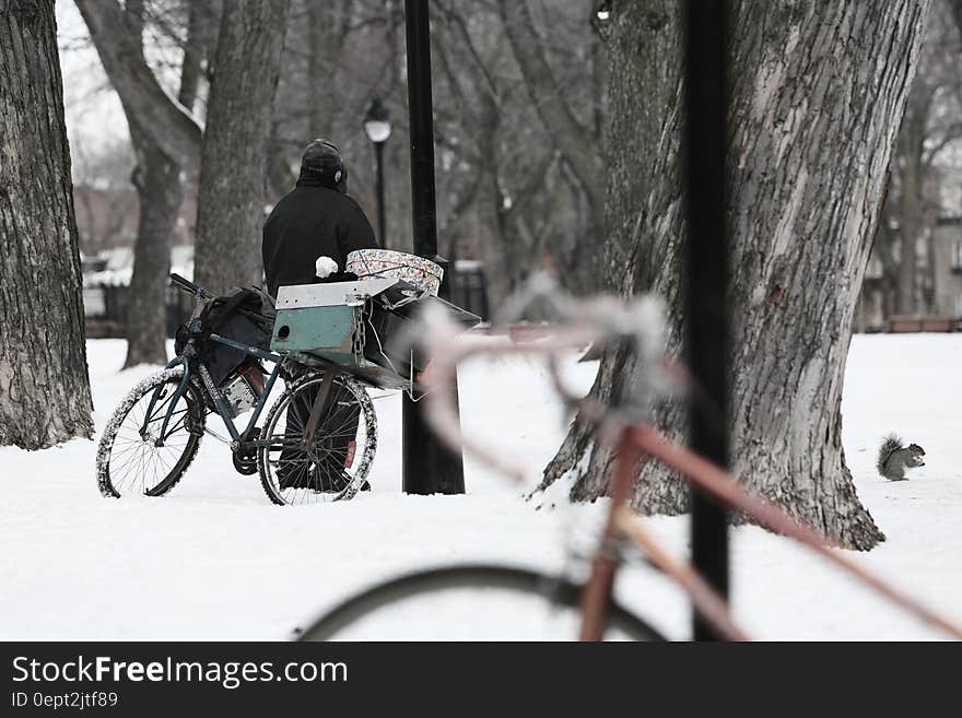 Bicycles leaning against tree in snowy field on sunny day. Bicycles leaning against tree in snowy field on sunny day.