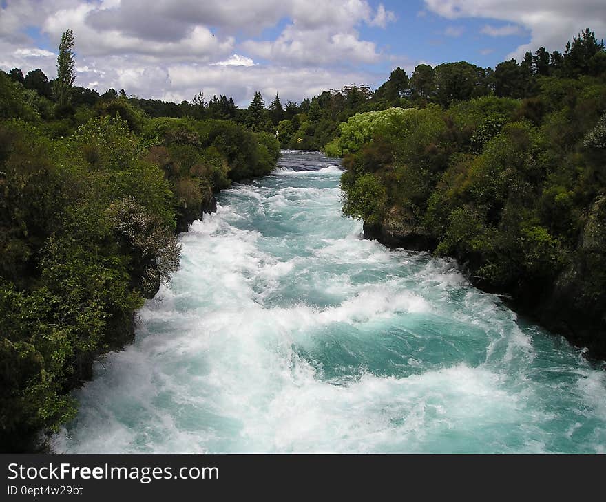 Rapids along tree lined river banks in New Zealand on sunny day. Rapids along tree lined river banks in New Zealand on sunny day.