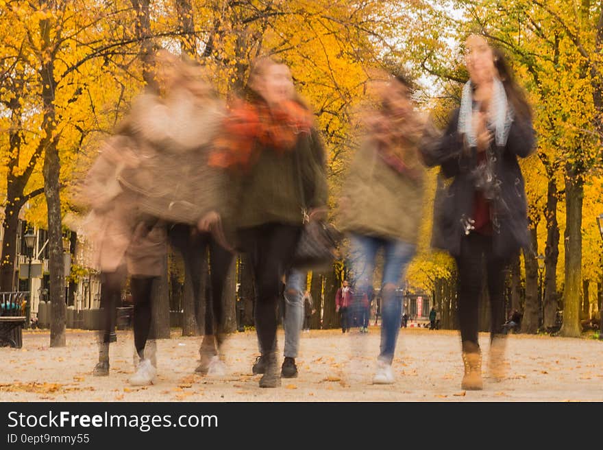 Group of People Walking Under the Orange Tree