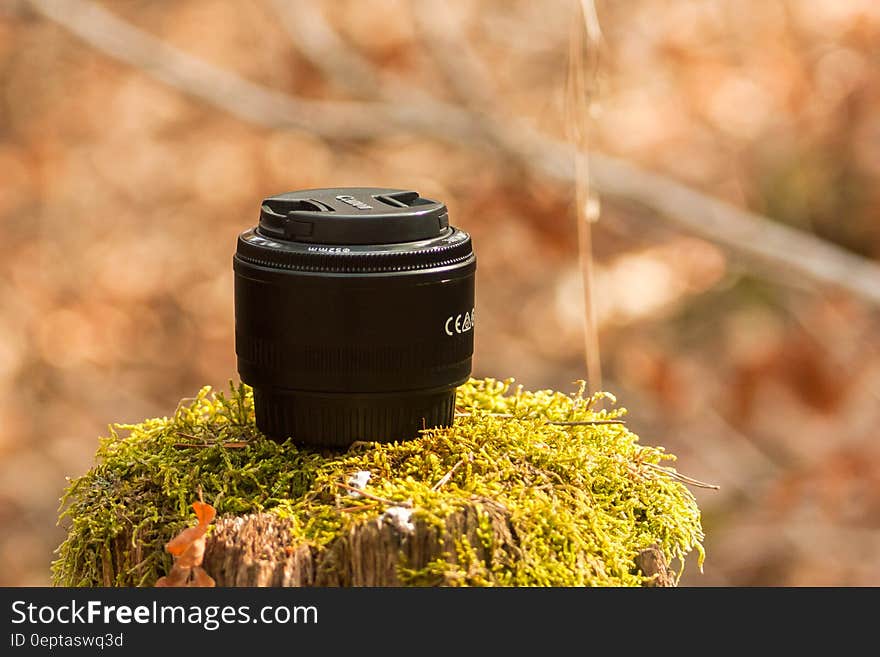 A close up of a Canon camera fixed lens on a mossy stump.