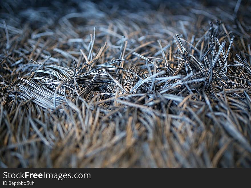 Carpet with fringe