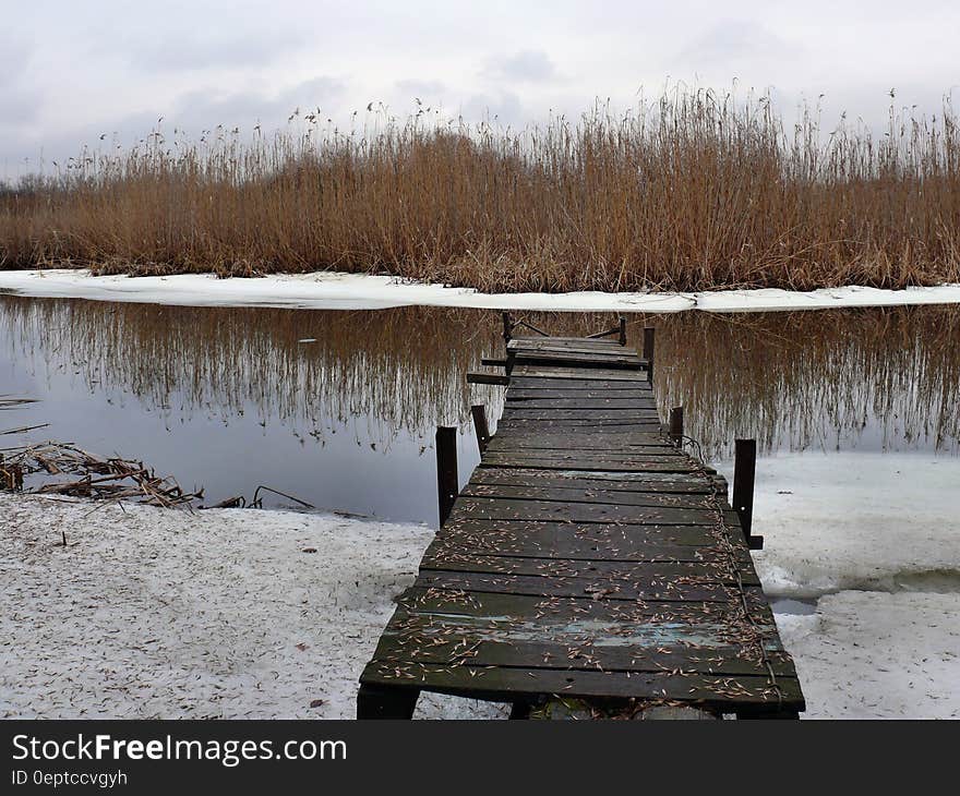 Black Wooden Dock on Riverside