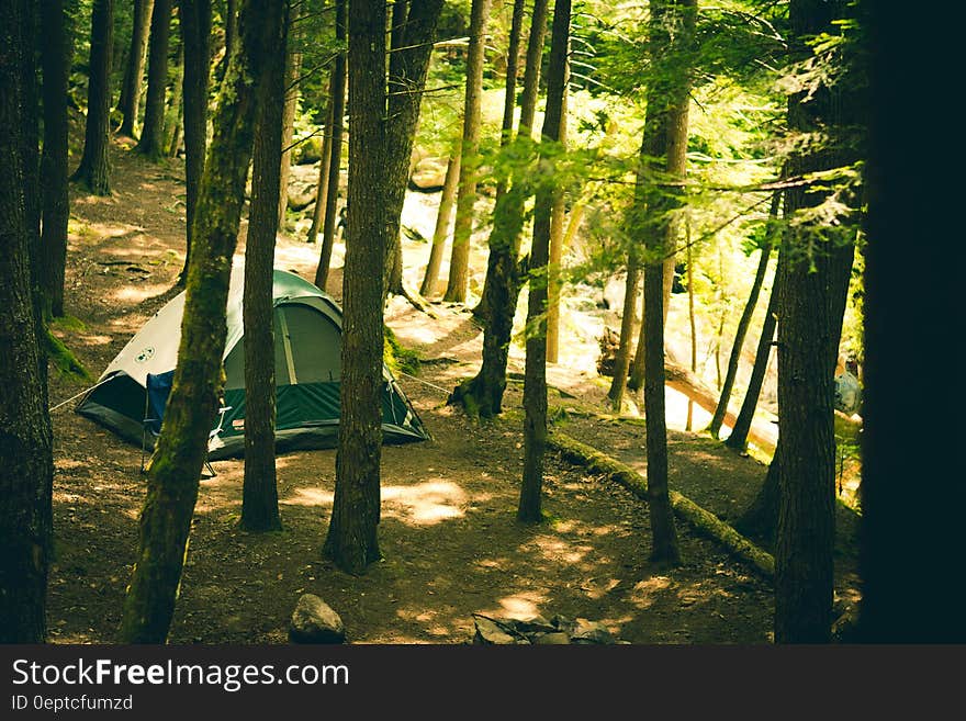 Tent at campsite in green forest on sunny day. Tent at campsite in green forest on sunny day.