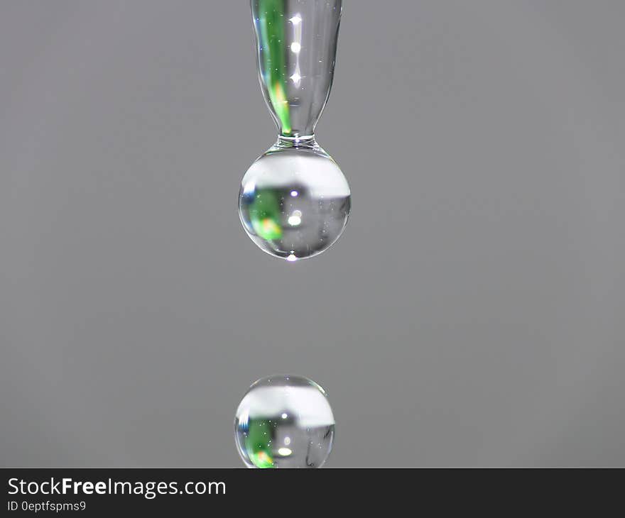 Water Droplet in Close Up Photography