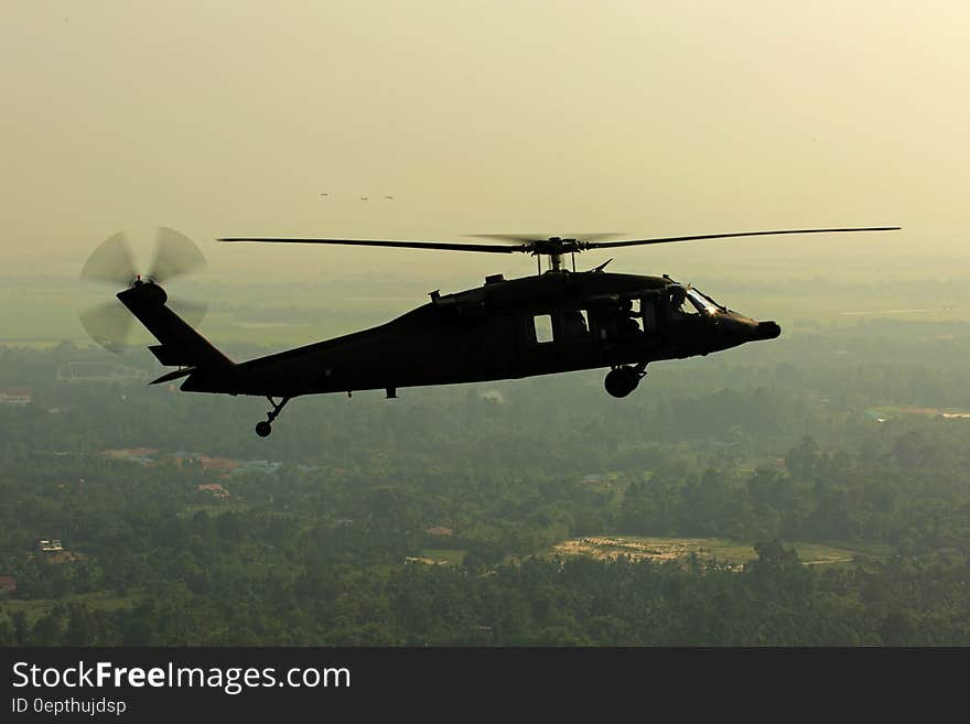 Green Leaved Trees Under Black Helicopter