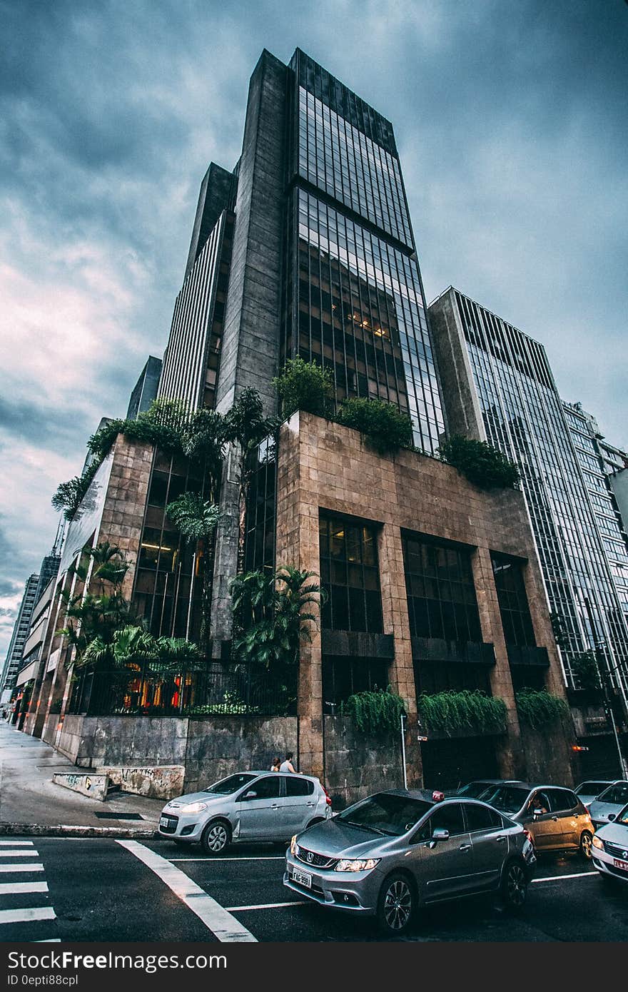 Black Building Across Cars Portrait